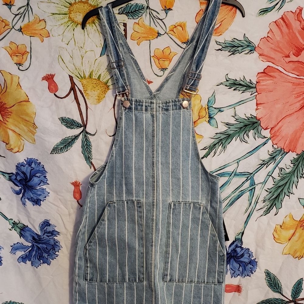 Denim Striped Overall Skirt
